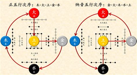 桑松木|八字纳音五行解析桑拓木，五行纳音桑松木是什么意思